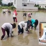 विलुप्त होती दून बासमती की खुशबू फिर लौटेगी; मुख्यमंत्री के संकल्प, जिला प्रशासन की पहल और किसानों की मेहनत से पारंपरिक बासमती के पुनर्जीवन की जगी उम्मीद